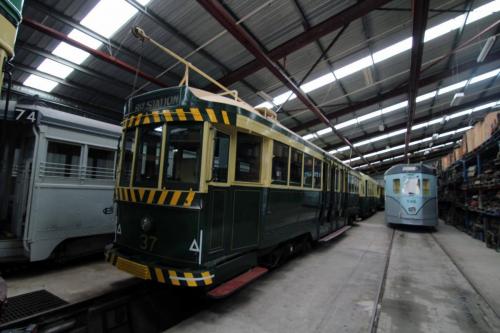 Ballarat Tram 37