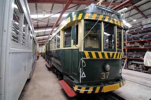 Ballarat Tram 37